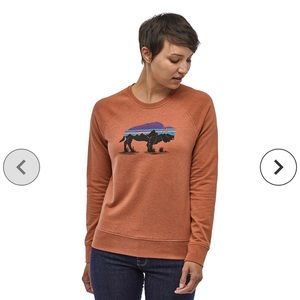 Patagonia Fitz Roy Bison Ahnya Crew Sweatshirt - Women's
